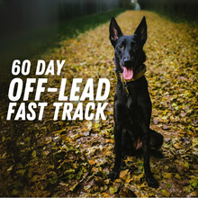 Load image into Gallery viewer, 60-Day Off-Lead Fast Track