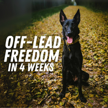 Load image into Gallery viewer, Off-Leash Freedom Course