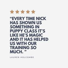 Load image into Gallery viewer, Puppy Classes in Bristol