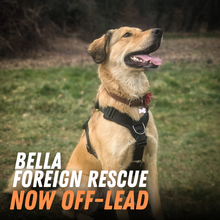 Load image into Gallery viewer, 60-Day Off-Lead Fast Track