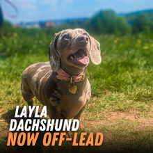 Load image into Gallery viewer, 60-Day Off-Lead Fast Track