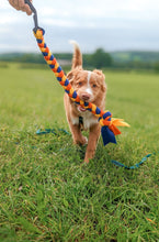 Load image into Gallery viewer, Retriever carrying fleece tug toy