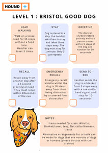 Level one bristol good dog class criteria