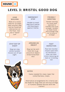 Bristol Good Dog Classes