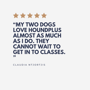 Puppy Classes in Bristol