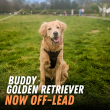 Load image into Gallery viewer, 60-Day Off-Lead Fast Track
