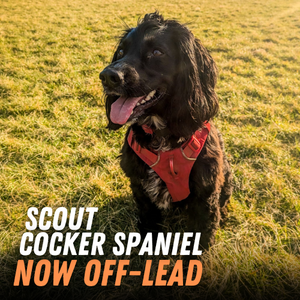 60-Day Off-Lead Fast Track