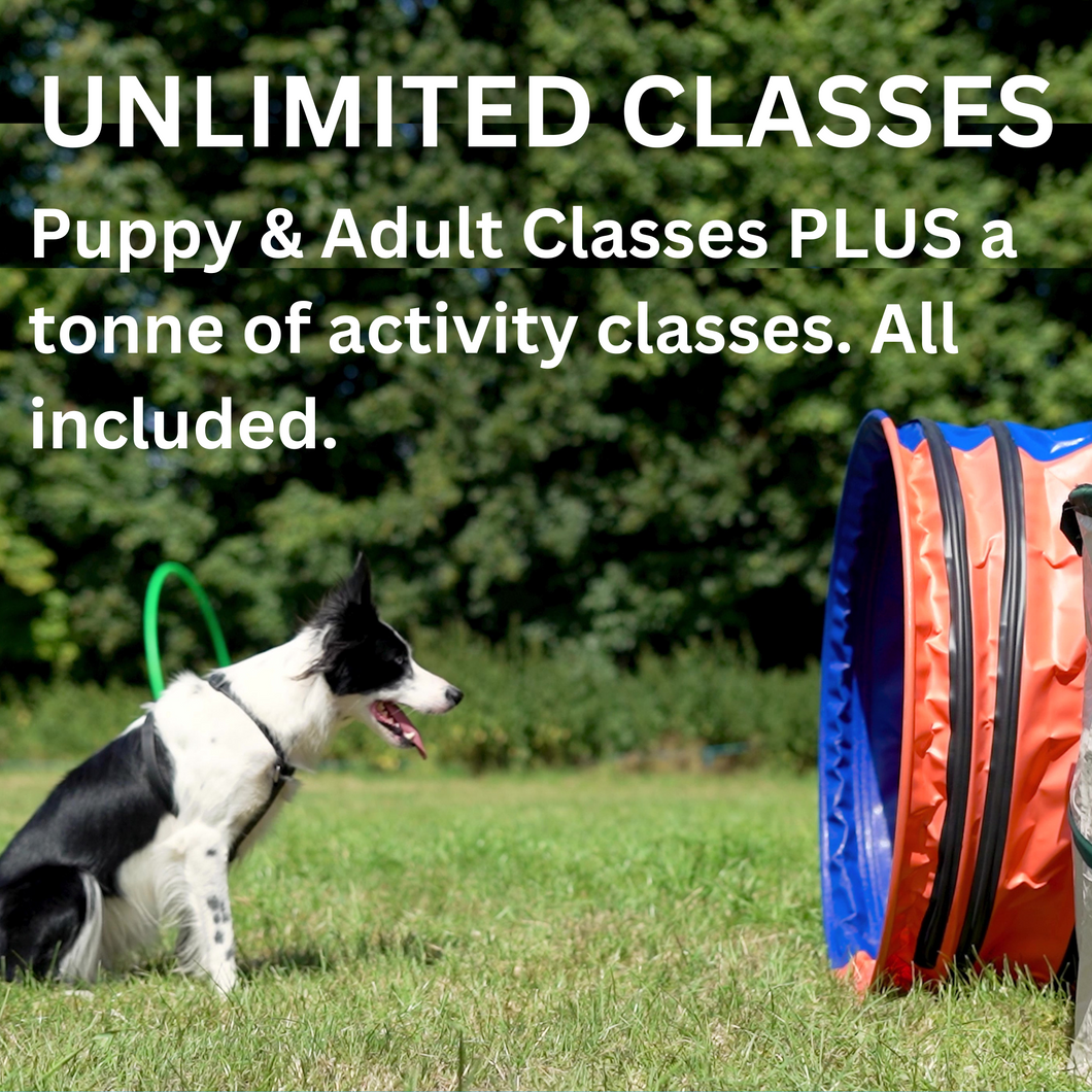 Free Plus Membership Week Trial