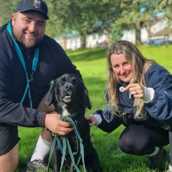 Dog Trainer Bristol | Puppy Classes & Reactive Dog Training | HoundPlu ...