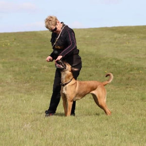 Competitive Heelwork with Corinne Wrend