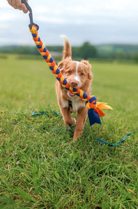 Retriever carrying fleece tug toy