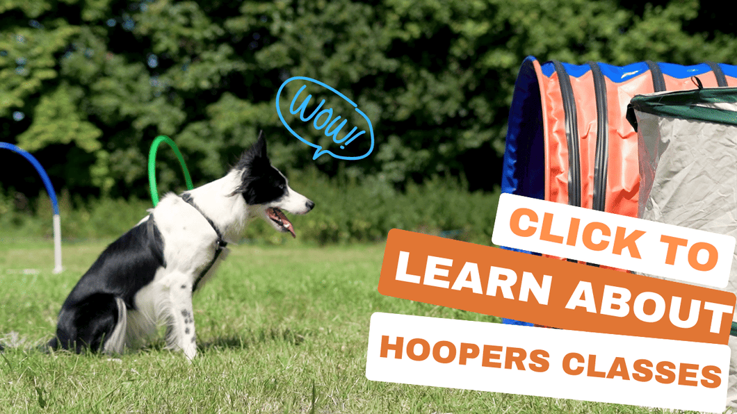 Beginner Hoopers Classes in Bristol